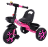 Kids Tricycle