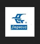 Logo of Pegasus