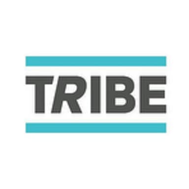 TRIBE logo