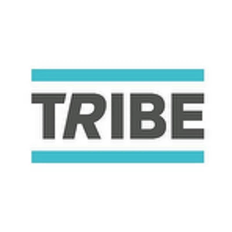 TRIBE logo