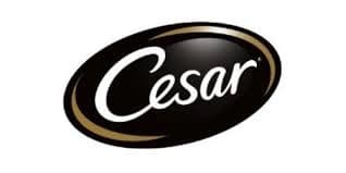 Logo of Cesar