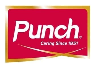 Punch logo
