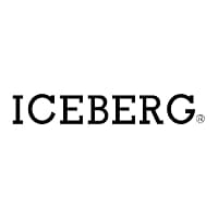 Logo of ICEBERG