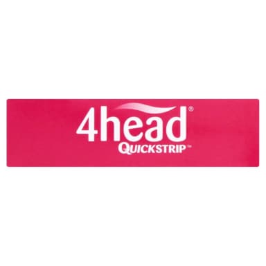 4 Head logo