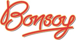 Logo of Bonsoy