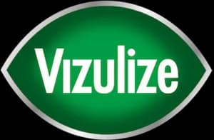 Logo of Vizulize