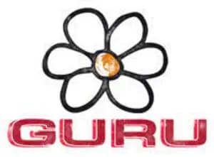 Logo of Guru Scent