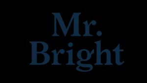 Logo of Mr Bright