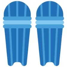 Icon of Batting Pads