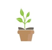 Plants and Plant Pots logo