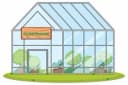 Greenhouses icon