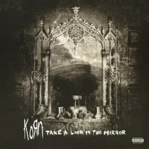 Take a Look in the Mirror by Korn Vinyl Album