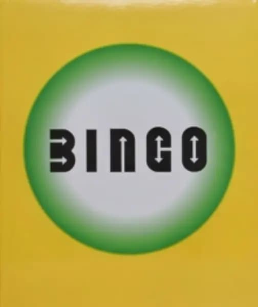 bingo 9780553380408