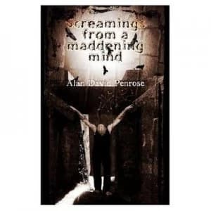Screamings from a Maddening Mind Paperback