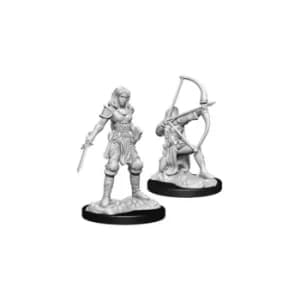 Pathfinder Battles Deepcuts Unpainted Miniatures (W15) Human Fighter Female