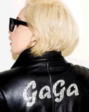 lady gaga x terry richardson