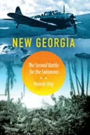 new georgia the second battle for the solomons