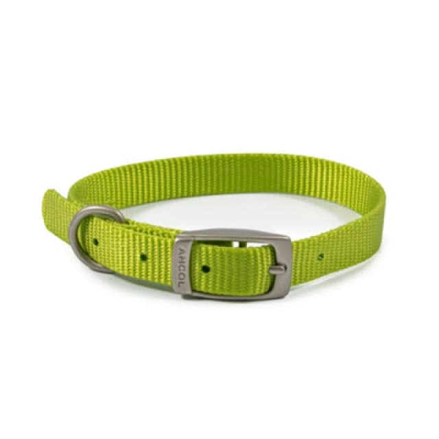 Ancol Viva Weather Proof Lightweight Comfy Buckle Dog Collar Yellow