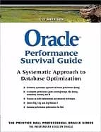 oracle performance survival guide a systematic approach to database optimiz