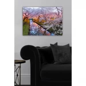 790469137-5070 Multicolor Decorative Canvas Painting