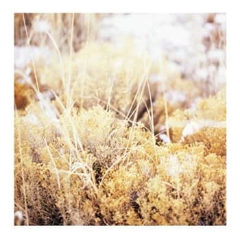 Mamiffer - The Brilliant Tabernacle Vinyl