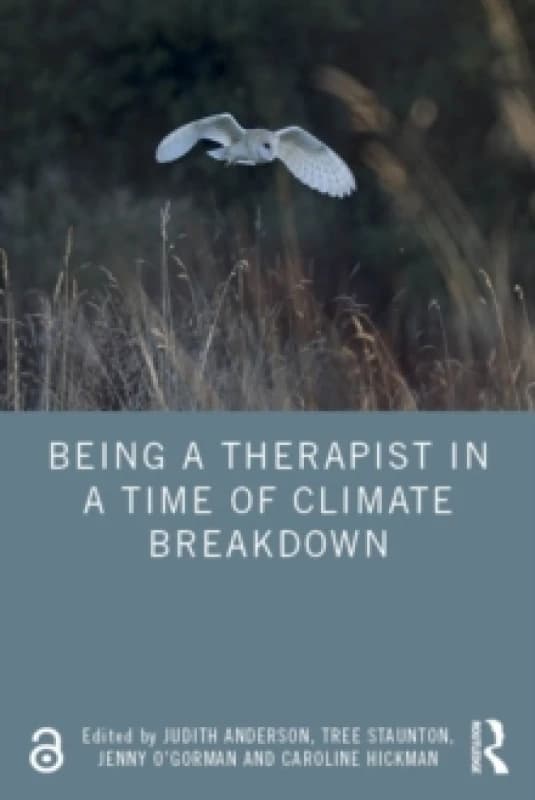 Being a Therapist in a Time of Climate Breakdown Paperback / softback