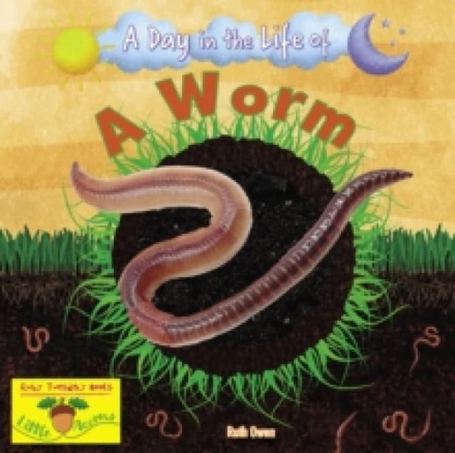 A Worm Paperback / softback
