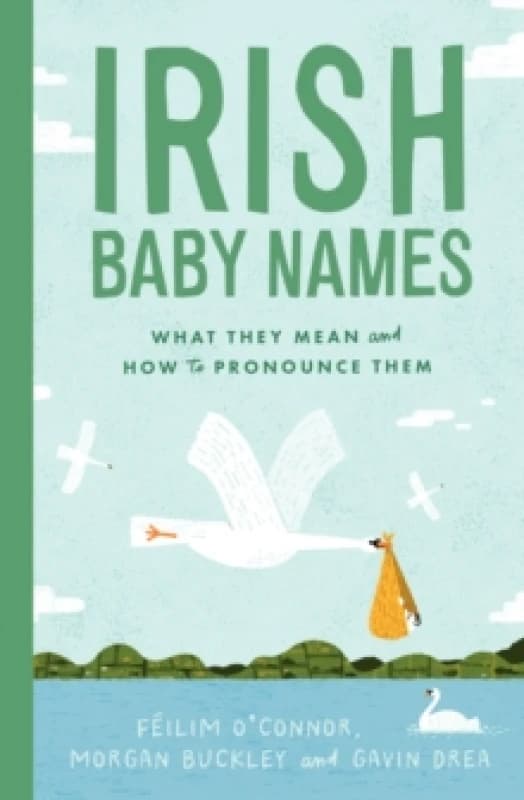 Irish Baby Names : What they mean and how to pronounce them Hardback