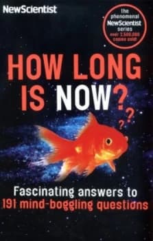 How Long Is Now by Frank Swain Paperback