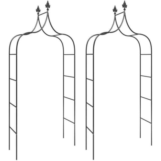 VIDAXL Vidaxl - Garden Arches 2 pcs Black 120x38x260cm Steel 319349