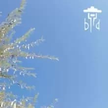 Drop Dead Entertainer