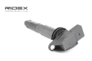 RIDEX Ignition coil 689C0224 Coil pack,Ignition coil pack PORSCHE,Cayenne (9PA),Carrera GT (980)