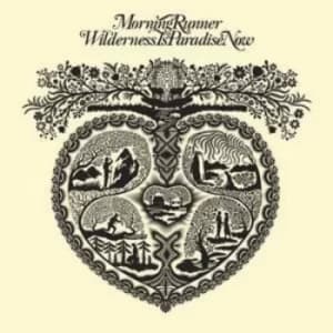 Wilderness Is Paradise Now by Morning Runner CD Album