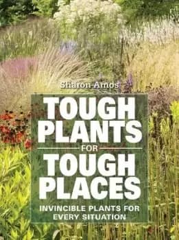 Tough Plants for Tough Places by Sharon Amos