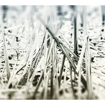 Scanner - An Ascent CD