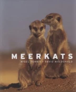 Meerkats by Nigel Dennis Hardback