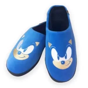 Official Sonic the Hedgehog Class of 91 Slippers Large UK 8-10