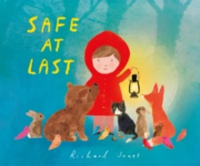 Safe at Last Hardback