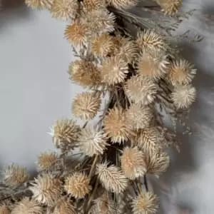 Crossland Grove Dried Thistle Wreath Natural D460Mm