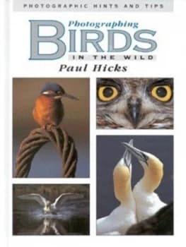 Photographing Birds in the Wild by Paul Hicks and Russell Hartwell and Malcolm Freeman Hardback