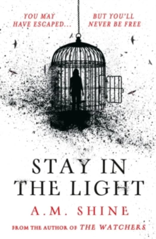 Stay in the Light : the chilling sequel to hit horror novel THE WATCHERS Paperback / softback
