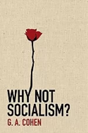why not socialism