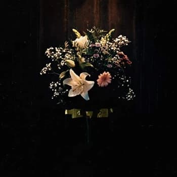 Lastelle - Delicate Vinyl