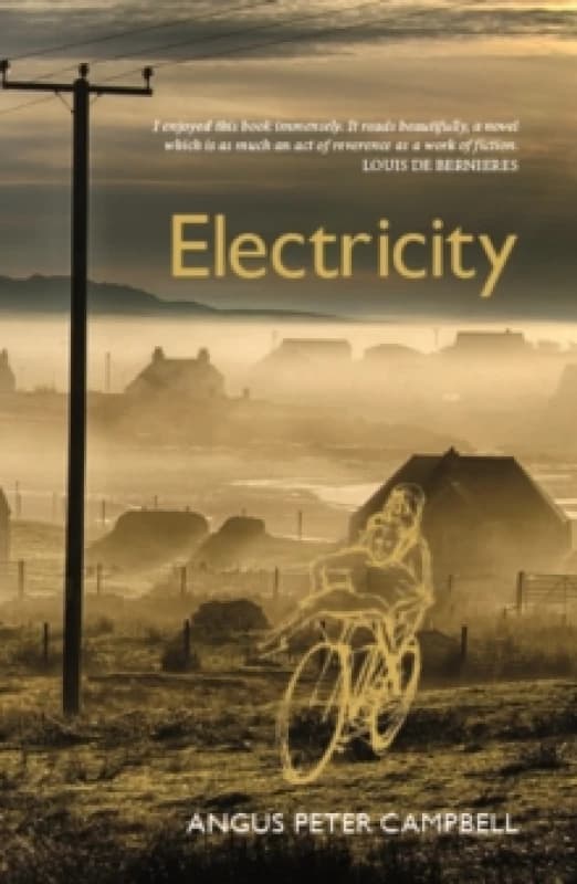 Electricity Paperback / softback