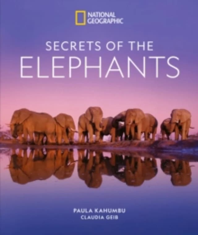 Secrets of the Elephants Hardback