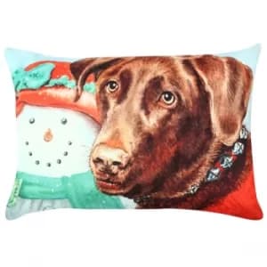 A50907 Multicolor Cushion