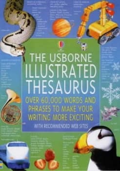 The Usborne Illustrated Thesaurus by Jane Bingham and Fiona Chandler and David Cuzik Paperback