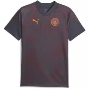 Puma Manchester City Training Shirt 2023 2024 Adults - Grey