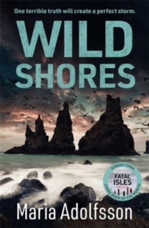 Wild Shores : The bestselling atmospheric police procedural that has taken the world by storm Paperback / softback