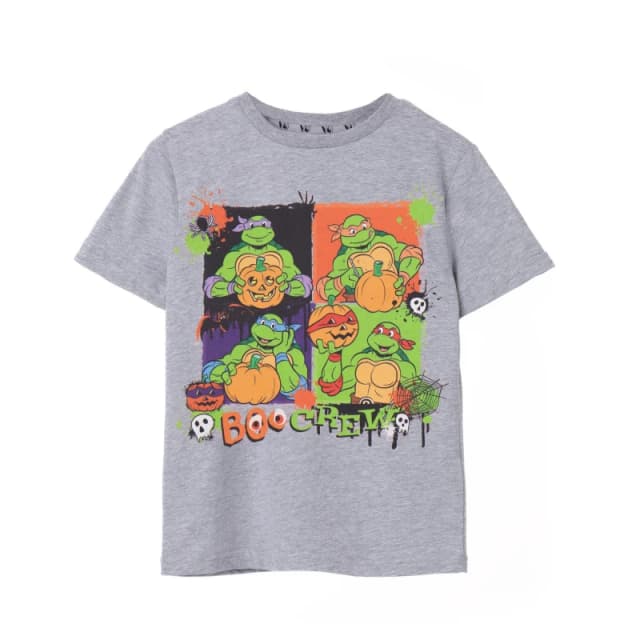 Teenage Mutant Ninja Turtles Short Sleeved T-Shirt Grey